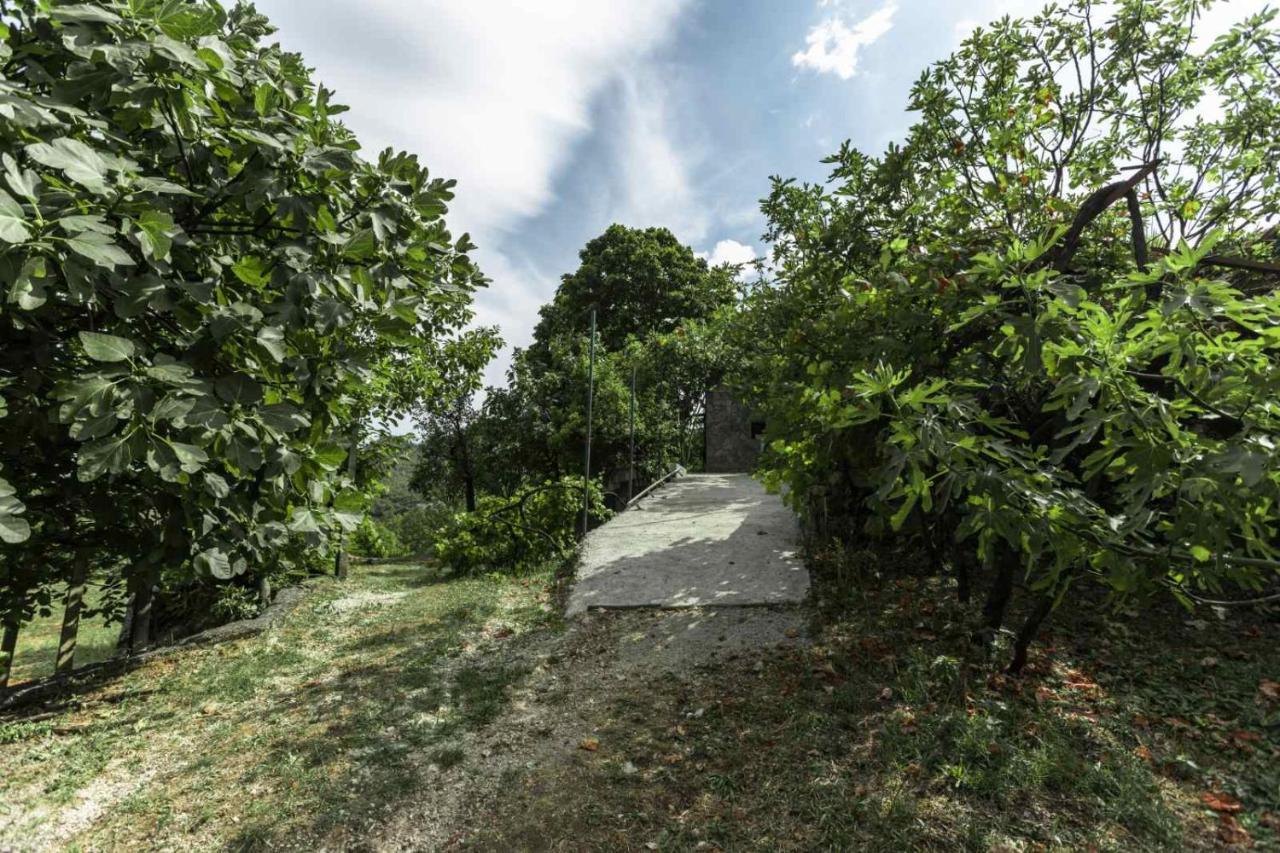 Aria Apartment Cetinje Luaran gambar