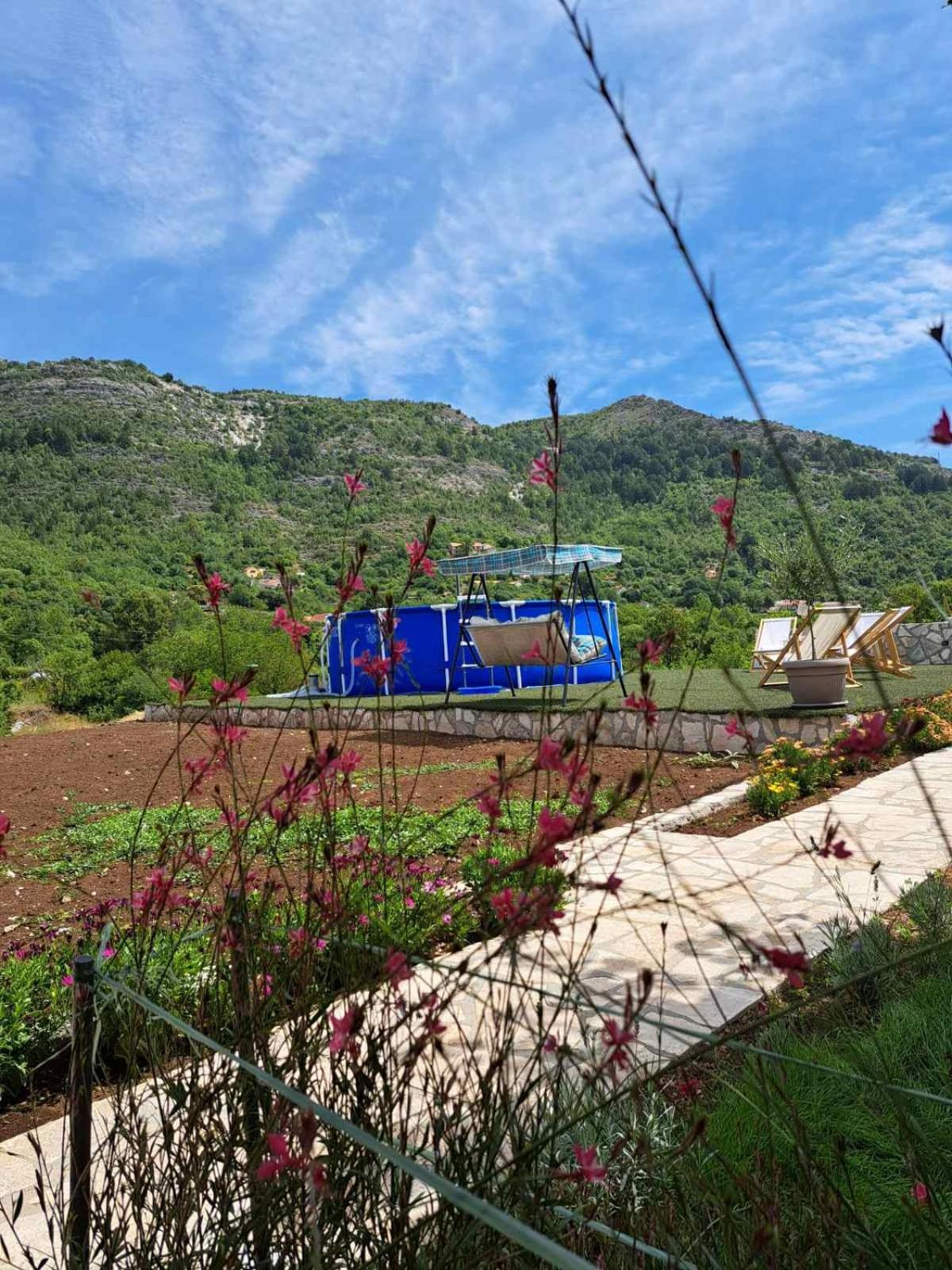 Aria Apartment Cetinje Luaran gambar